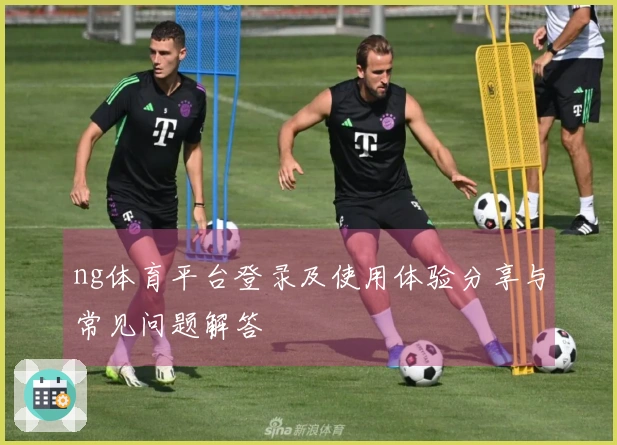 ng体育平台登录及使用体验分享与常见问题解答