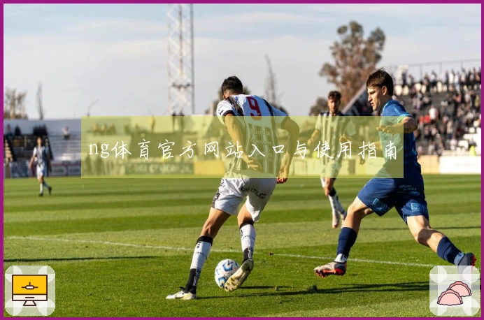 ng体育官方网站入口与使用指南