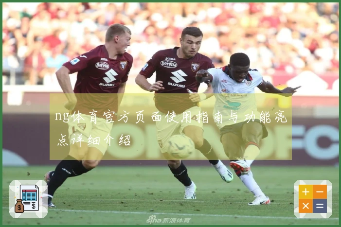 ng体育官方页面使用指南与功能亮点详细介绍