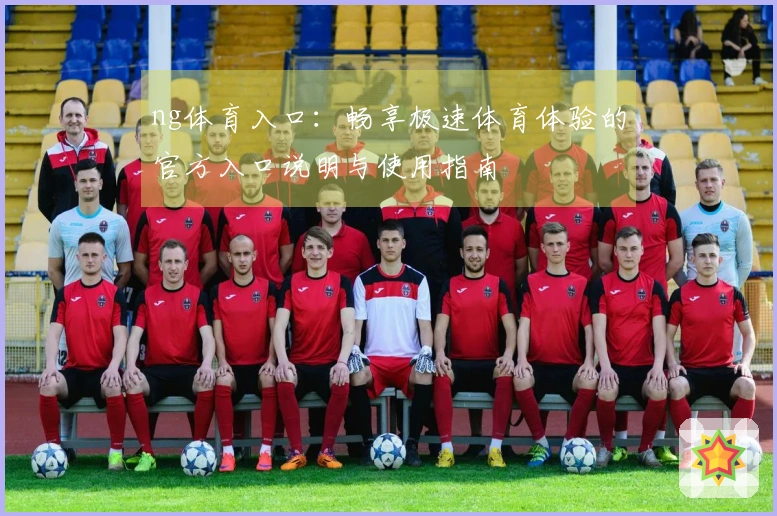 ng体育入口：畅享极速体育体验的官方入口说明与使用指南