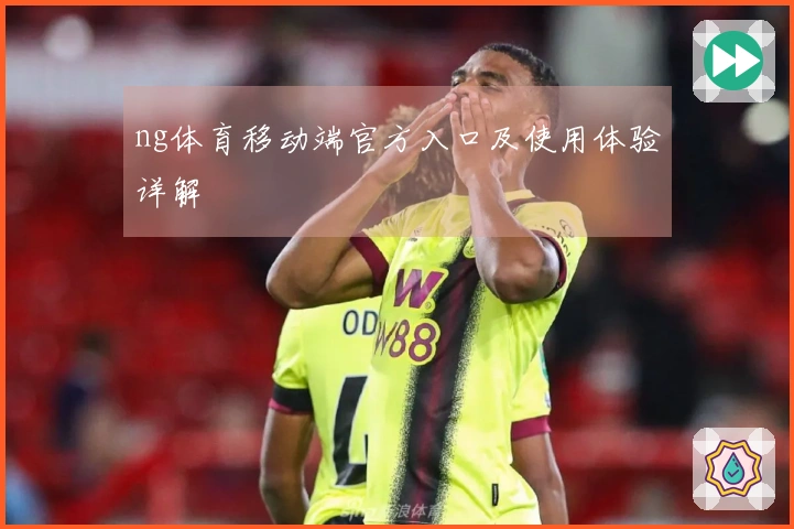 ng体育移动端官方入口及使用体验详解