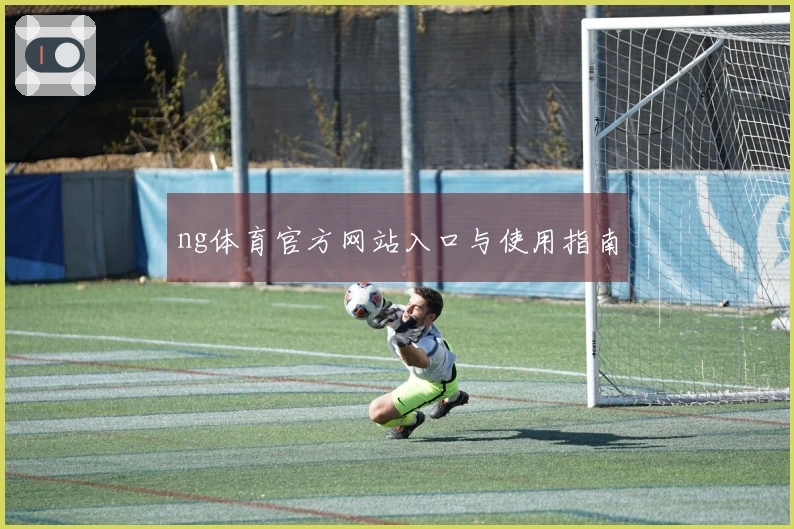 ng体育官方网站入口与使用指南