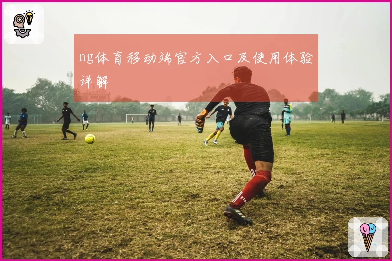 ng体育移动端官方入口及使用体验详解